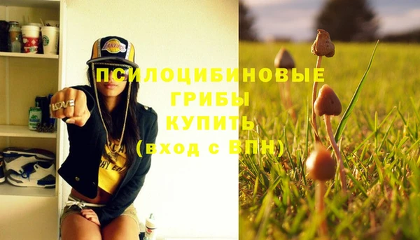 бошки Алексин